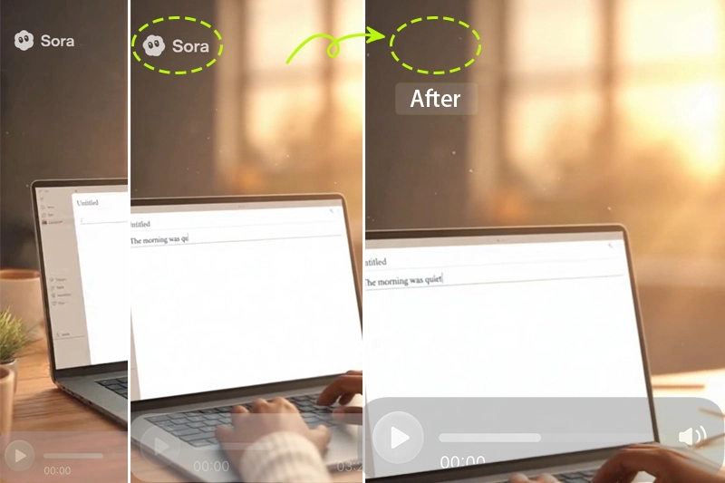 Sora Watermark Remover